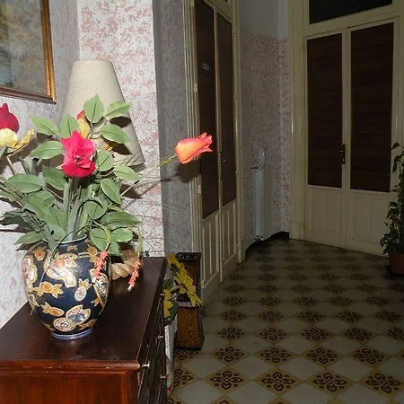 D'angelo 3* Παλέρμο